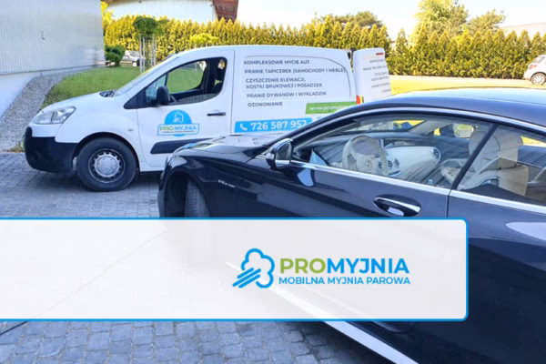Ile zarabia właściciel myjni parowej?