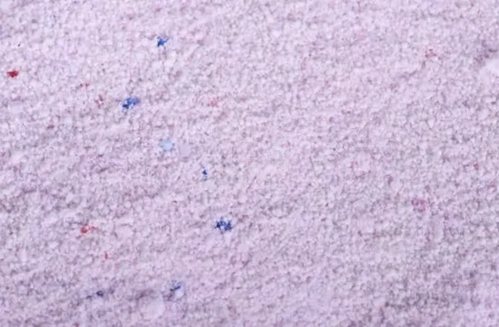 Jak usunąć zaschnięty proszek z samochodu?